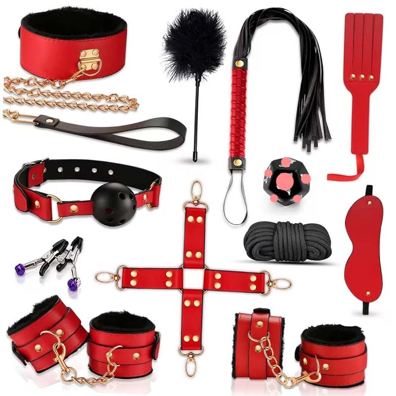 Health Wellness Kit - Kit de Bondage BDSM de 12